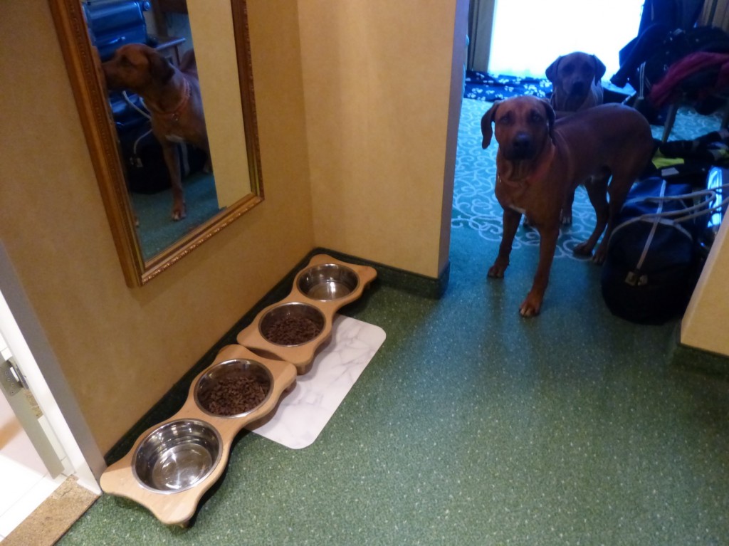 Urlaub mit Hunden im Hotel Issn� Rüde! Hunde News &amp; Dogstyle