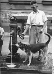 Hund und Herrchen