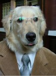 Hund im Anzug