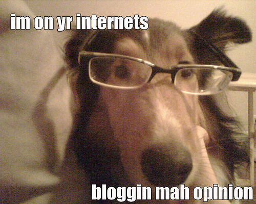 Hund Blog
