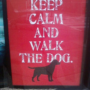 keep calm and walk the dog