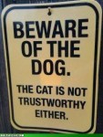 Hund oder Katze ist dann eigentlich auch egal