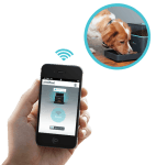 Den Hund füttern per Smartphone