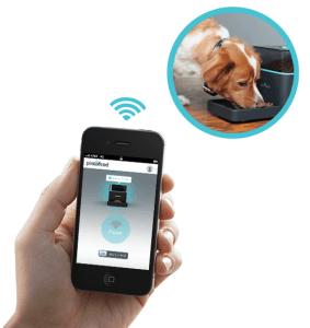 Den Hund füttern per Smartphone