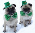 Happy St Patricks Day