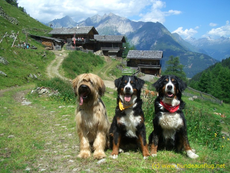 Zurück zur Natur! Wandern mit Hund Issn� Rüde! Hunde News &amp; Dogstyle