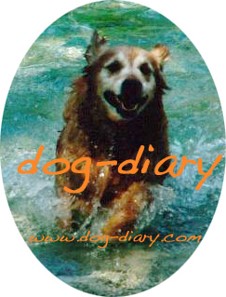 Dog Diary, das virtuelle Hundetagebuch