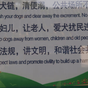 Hunde in China: Rassentrennung!