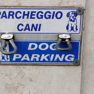 Dogs in Italy - the Italian Pet Friendly map