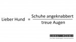 Infografik lieber Hund