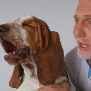 Burkhard Thom - Gastautor und Basset Liebhaber