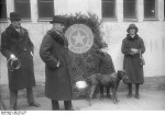Deutscher Tierschutzverein