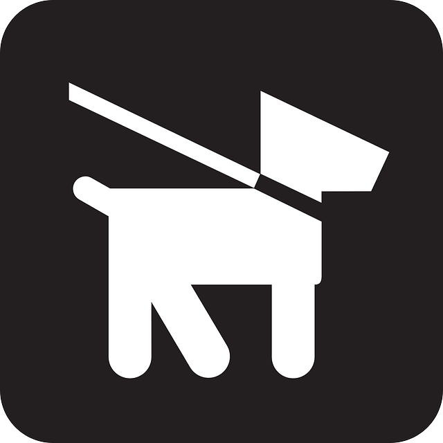 Die besten Hund Twitter Autoren in Deutschland Die besten Hund Twitter Autoren in Deutschland