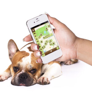 Neue Hund App: Dog's Places