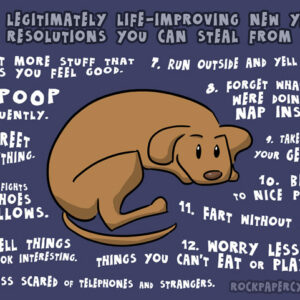 Was Du von Hunden lernen kannst, um Dein Leben zu verbessern