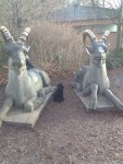 Auf gehts in den Zoo.