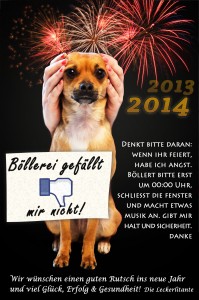 Hunde bei Silvester - nicht böllern
