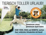 Mann Hund See Sprung