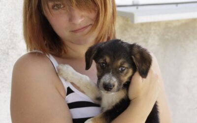 Nadine Brandt – Gast- und Hundebuchautorin