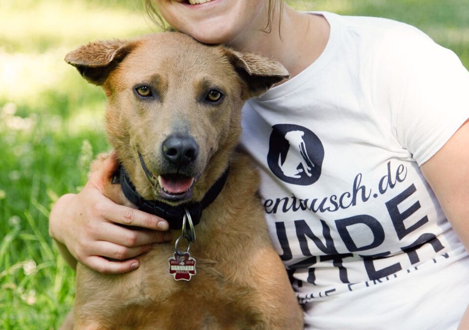 „Leinentausch“ – Hundesitter & Hunde-Unterkunft per Mausklick