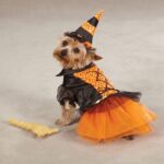 Hunde Kostüm Pinzessin für Halloween