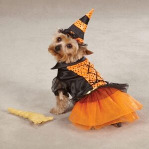 Hunde Kostüm für Halloween