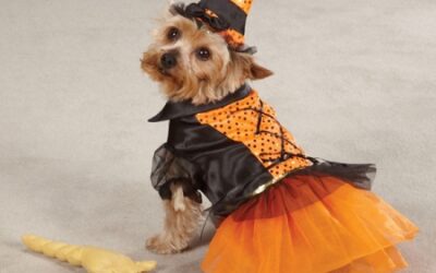 Hunde Kostüm für Halloween