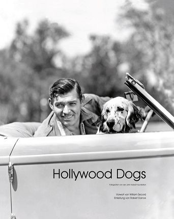 hollywood dogs