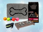 PRO PLAN Neujahrs-Aktion