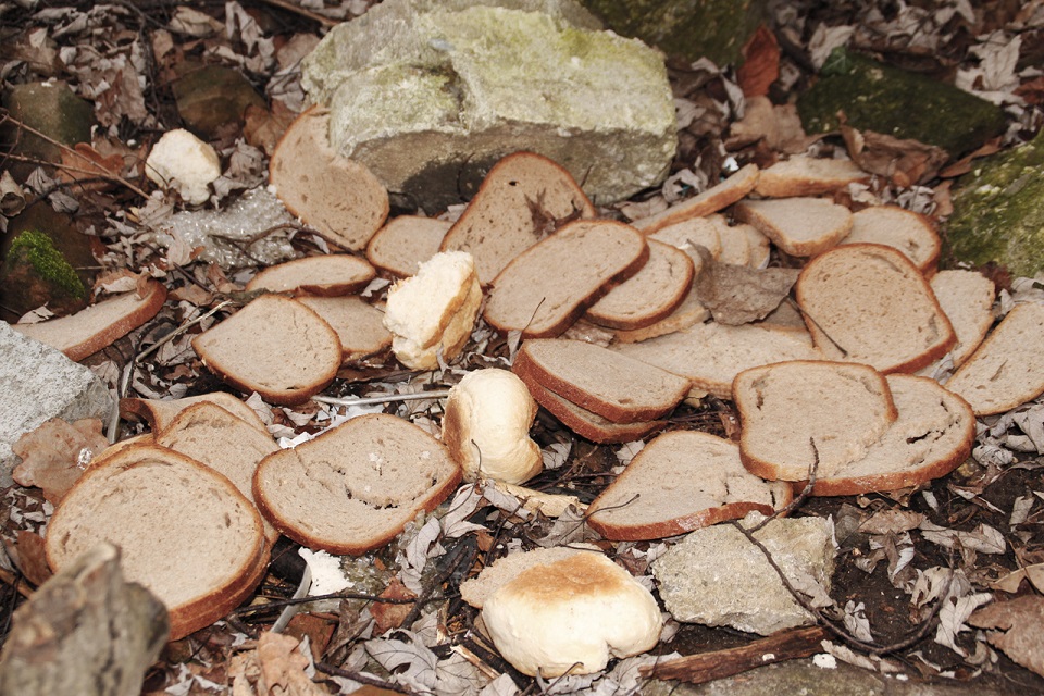 Brotkrumen im Wald