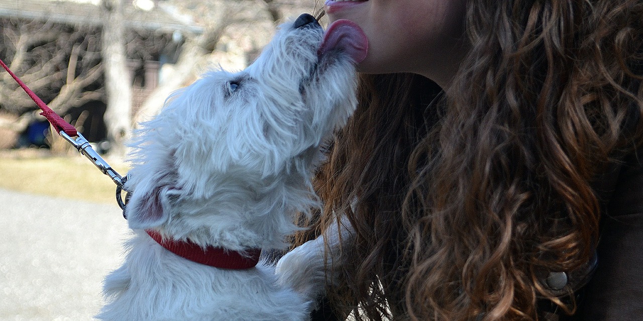 Dog, Kiss