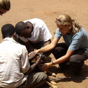 Ehrenamtlicher Tierarzt - Die Welt für die Tiere ein kleines Stückchen besser machen