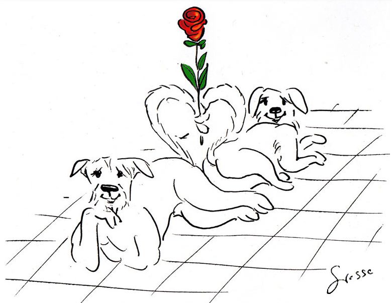 Amor Hunde Zeichnung 
