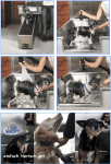 Dogwash Ablauf Hundewäsche