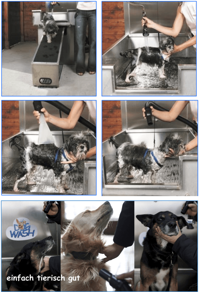 Sauberer Hund, glückliches Herrchen – das DogWash Gründerpotrait