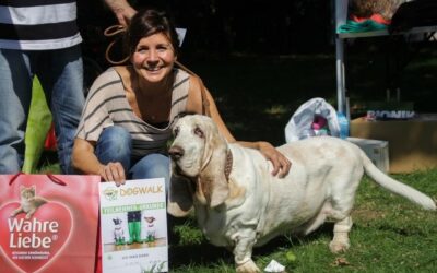 Rekordteilnahme – DogWalk 2015 der Tiertafel RheinErft e.V. ein voller Erfolg