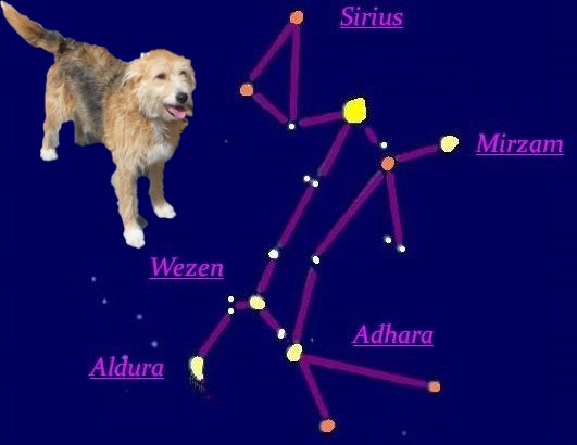 39 Sternbild Kleiner Hund Besten Bilder von ausmalbilder