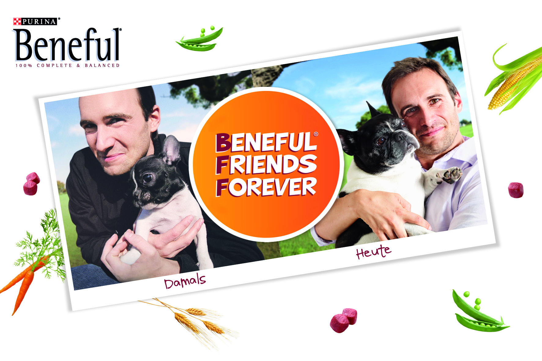 Logo Beneful Friends Forever