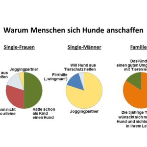 Warum einen Hund anschaffen
