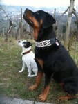 alpha und stacy