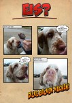 Hund will Eis essen