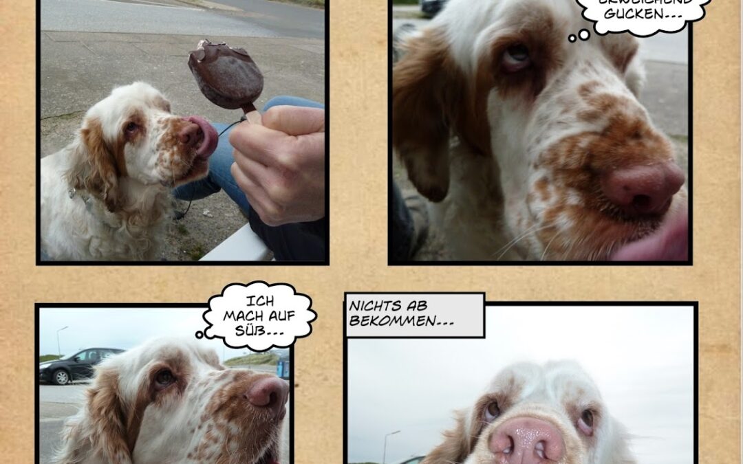 Hund will Eis essen