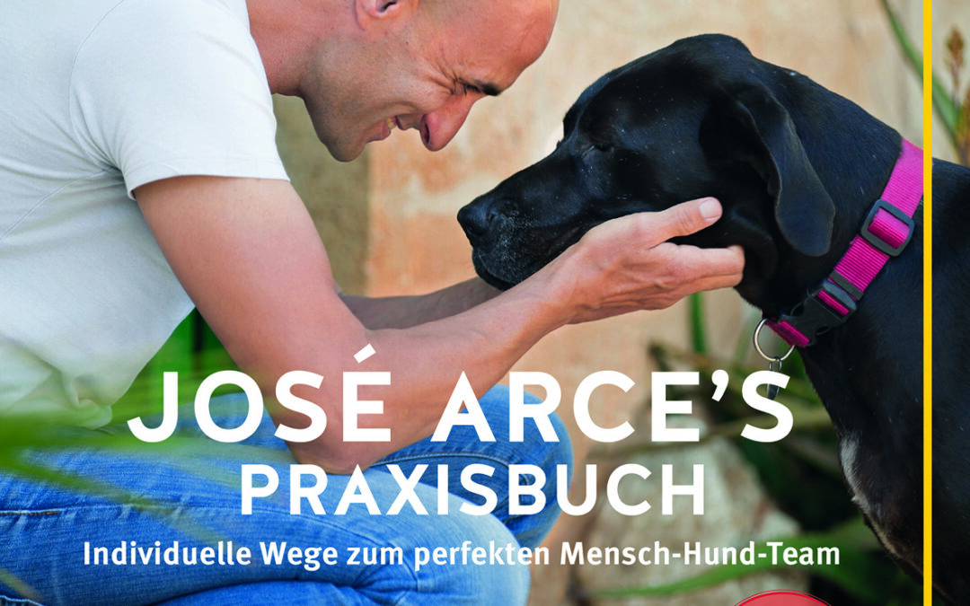 José Arce Praxisbuch Cover