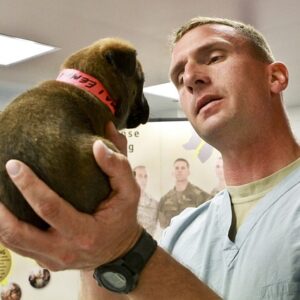 Hundekrankenversicherung: Alles zum Krankenschutz für Ihren Hund