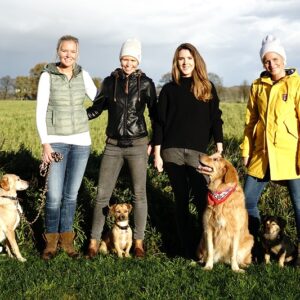 Tales & Tails - Hundefutter aus Island - jetzt Crowdfunding-Kampagne unterstützen!