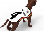 Hund mit Fussball Trikot - Fan Dog