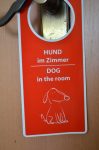 Hund im Hotelzimmer
