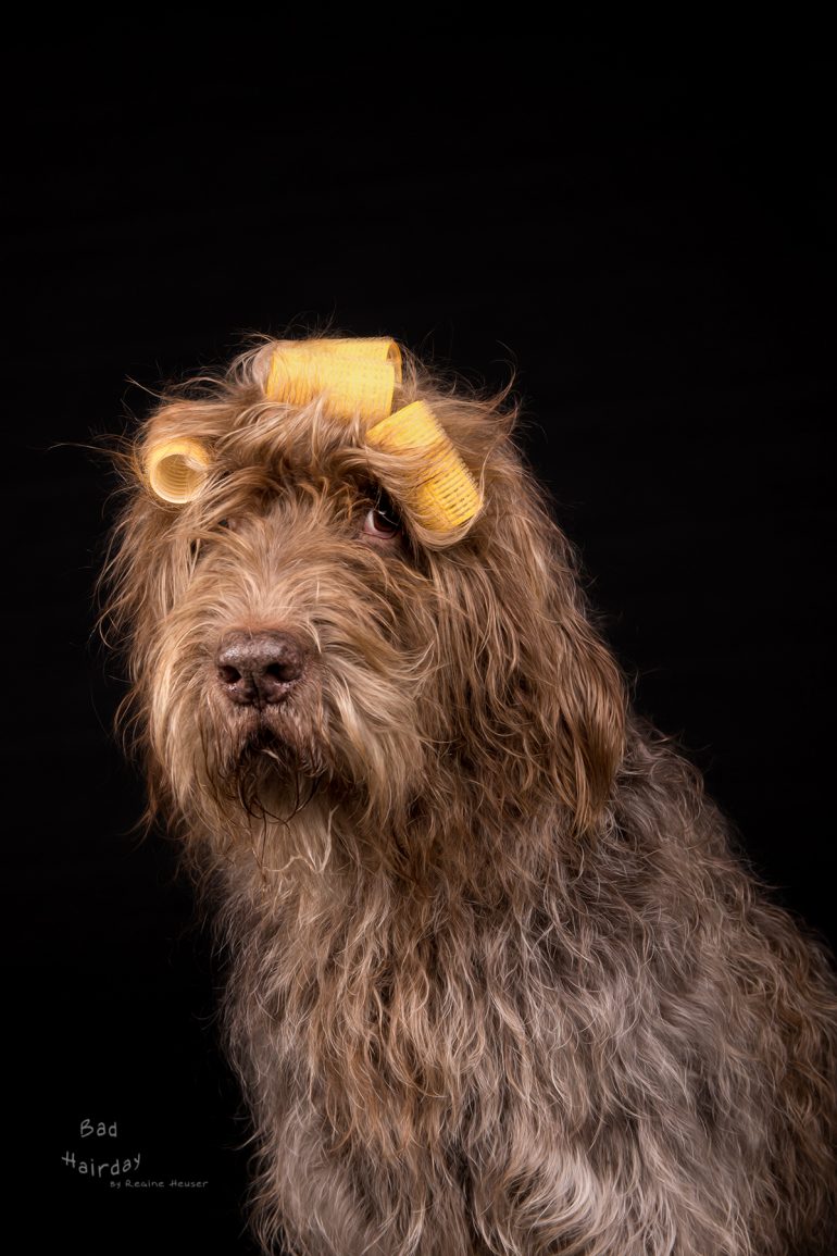 Bad Hairday - weil ich es mir wert bin - Issn' Rüde ...