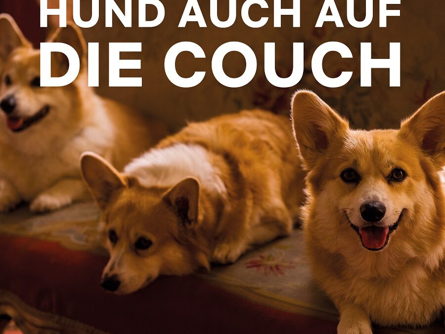 Hunde Meme "manchmal lässt mich mein Hund auch auf die Couch"