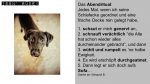 Hundesprüche